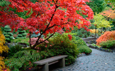 Butchart Gardens Victoria in Fall
